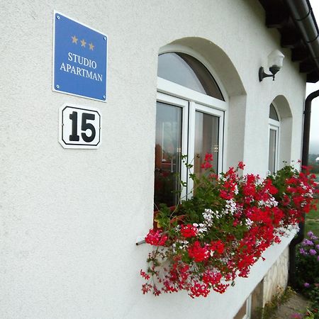 Apartments Zegarac House Korenica Kültér fotó
