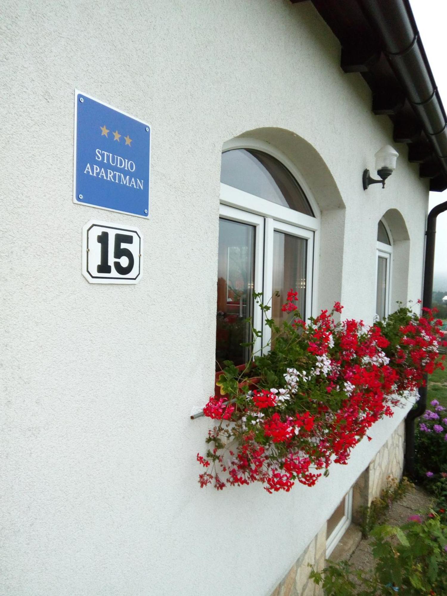 Apartments Zegarac House Korenica Kültér fotó
